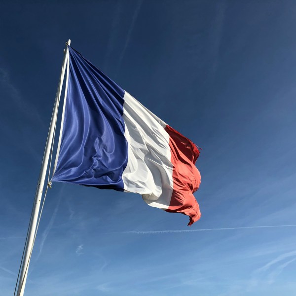 Le Gouvernement présente un Plan d&rsquo;action en faveur des animaux